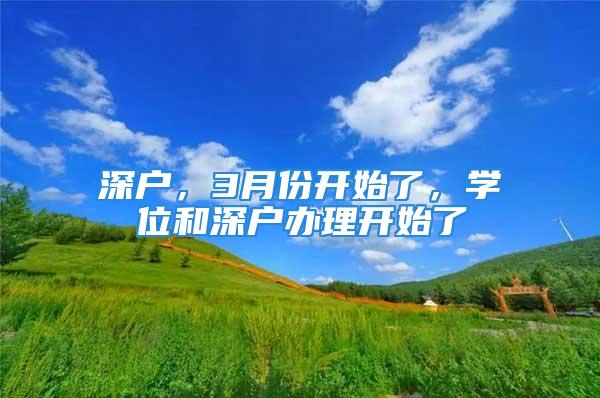 深户，3月份开始了，学位和深户办理开始了