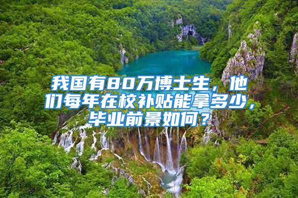 我国有80万博士生，他们每年在校补贴能拿多少，毕业前景如何？