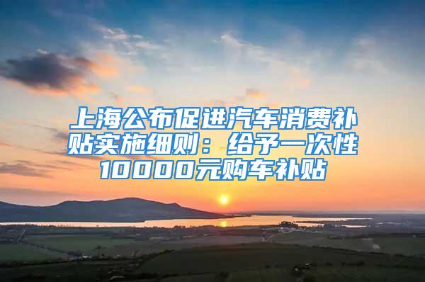 上海公布促进汽车消费补贴实施细则：给予一次性10000元购车补贴