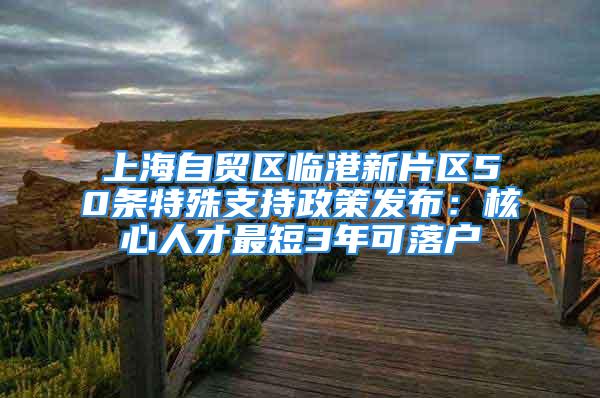 上海自贸区临港新片区50条特殊支持政策发布：核心人才最短3年可落户