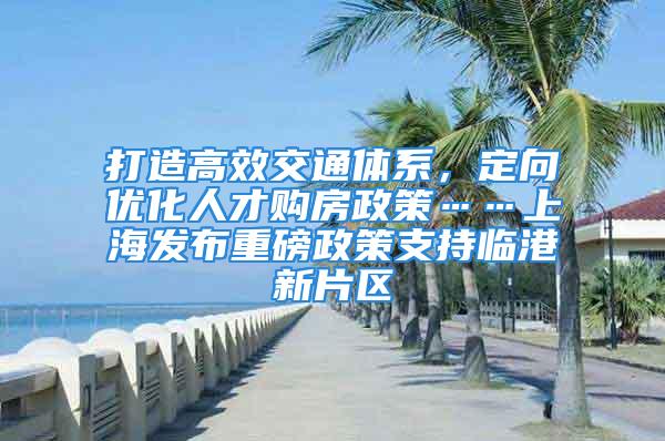 打造高效交通体系，定向优化人才购房政策……上海发布重磅政策支持临港新片区