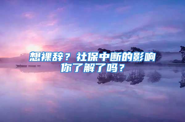 想裸辞？社保中断的影响你了解了吗？