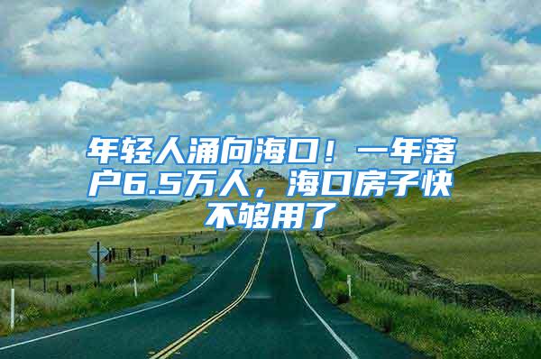 年轻人涌向海口！一年落户6.5万人，海口房子快不够用了