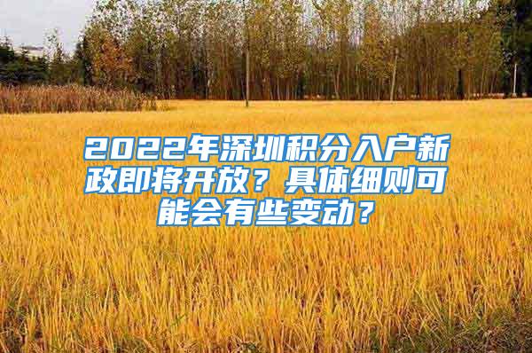 2022年深圳积分入户新政即将开放？具体细则可能会有些变动？