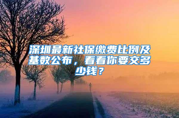 深圳最新社保缴费比例及基数公布，看看你要交多少钱？