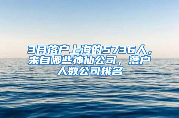 3月落户上海的5736人，来自哪些神仙公司，落户人数公司排名