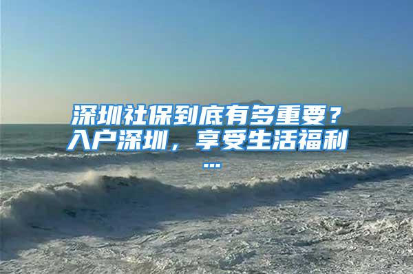 深圳社保到底有多重要？入户深圳，享受生活福利…