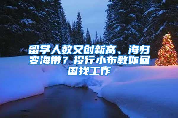 留学人数又创新高、海归变海带？投行小布教你回国找工作