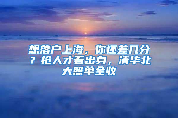 想落户上海，你还差几分？抢人才看出身，清华北大照单全收