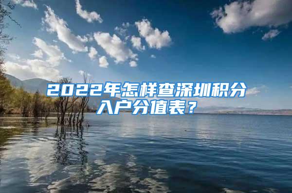 2022年怎样查深圳积分入户分值表？