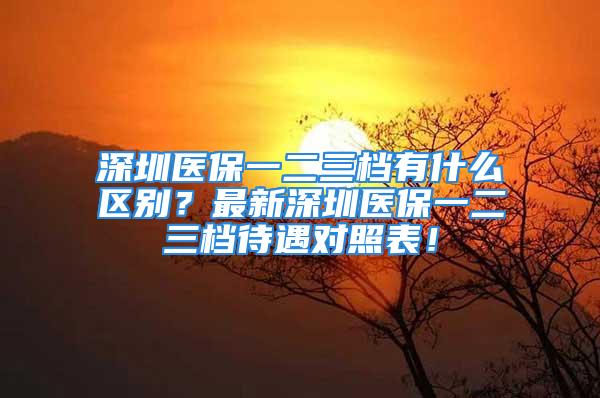 深圳医保一二三档有什么区别？最新深圳医保一二三档待遇对照表！