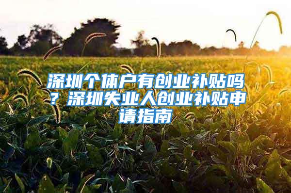 深圳个体户有创业补贴吗？深圳失业人创业补贴申请指南