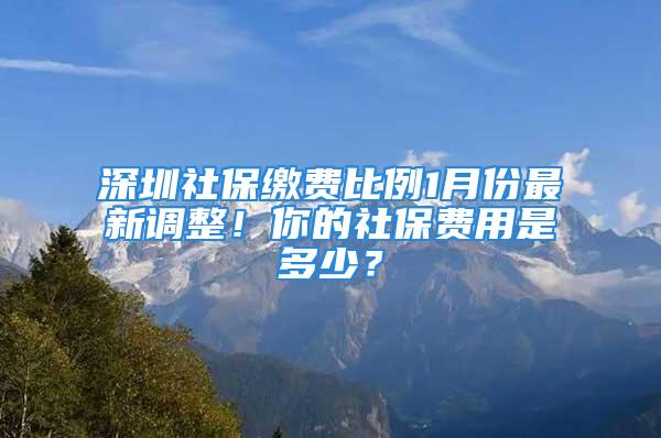 深圳社保缴费比例1月份最新调整！你的社保费用是多少？