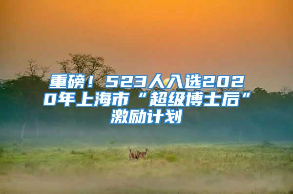 重磅！523人入选2020年上海市“超级博士后”激励计划