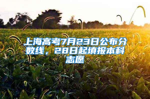 上海高考7月23日公布分数线，28日起填报本科志愿