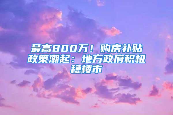 最高800万！购房补贴政策潮起：地方政府积极稳楼市