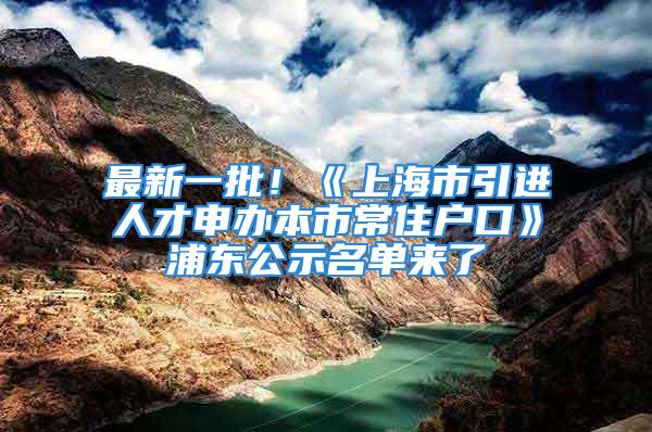 最新一批！《上海市引进人才申办本市常住户口》浦东公示名单来了