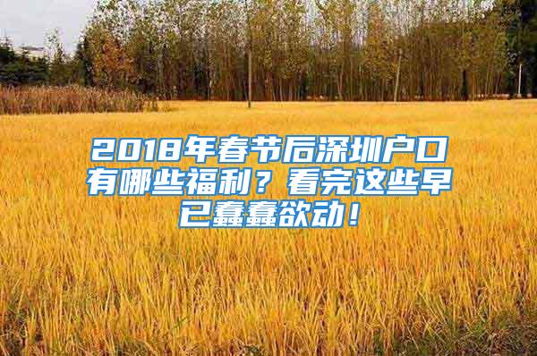 2018年春节后深圳户口有哪些福利？看完这些早已蠢蠢欲动！