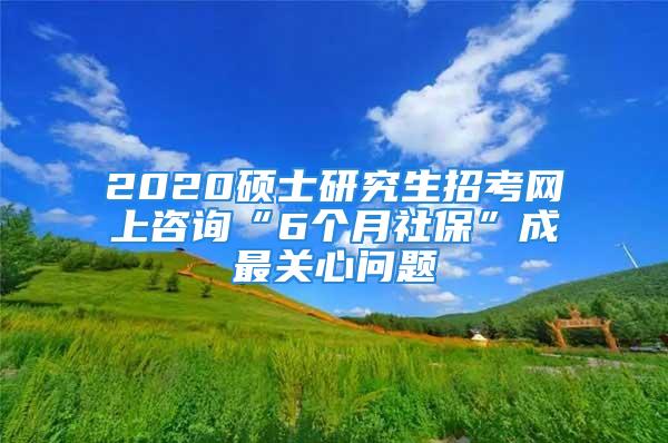 2020硕士研究生招考网上咨询“6个月社保”成最关心问题