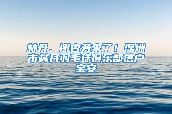 林丹、谢杏芳来了！深圳市林丹羽毛球俱乐部落户宝安