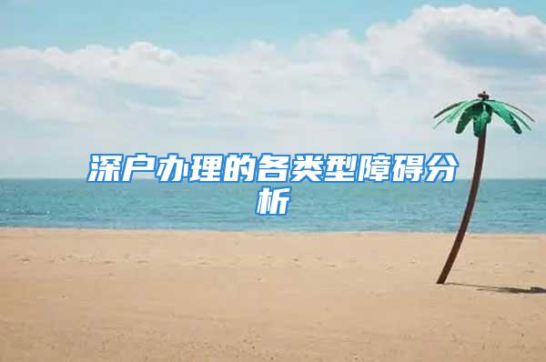 深户办理的各类型障碍分析