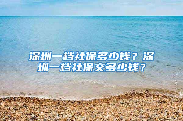 深圳一档社保多少钱？深圳一档社保交多少钱？