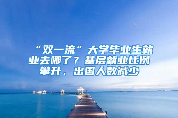 “双一流”大学毕业生就业去哪了？基层就业比例攀升，出国人数减少