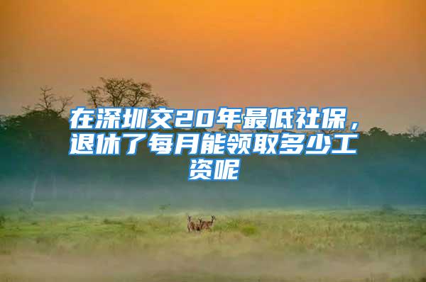 在深圳交20年最低社保，退休了每月能领取多少工资呢