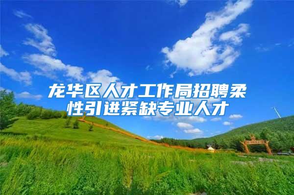 龙华区人才工作局招聘柔性引进紧缺专业人才