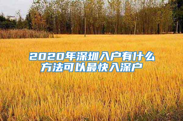 2020年深圳入户有什么方法可以最快入深户