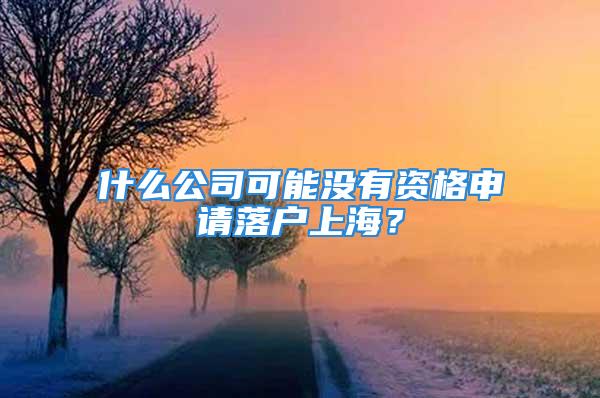 什么公司可能没有资格申请落户上海？