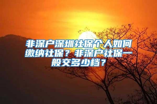 非深户深圳社保个人如何缴纳社保？非深户社保一般交多少档？