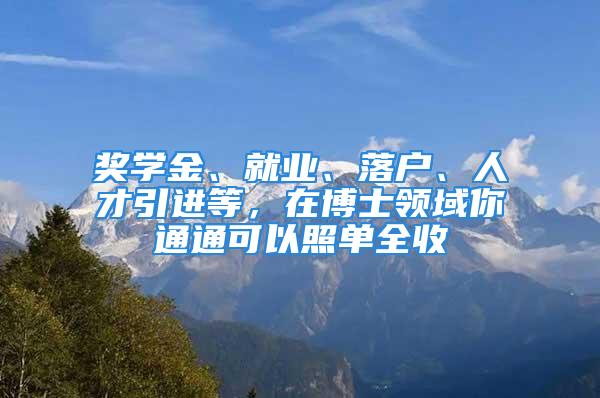 奖学金、就业、落户、人才引进等，在博士领域你通通可以照单全收