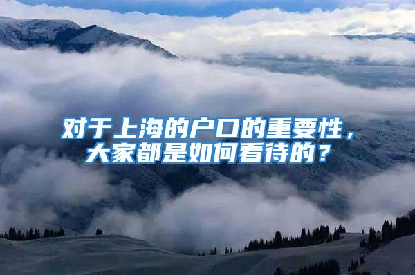 对于上海的户口的重要性，大家都是如何看待的？