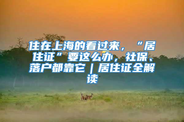 住在上海的看过来，“居住证”要这么办，社保、落户都靠它｜居住证全解读