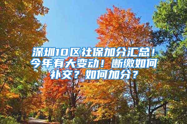 深圳10区社保加分汇总！今年有大变动！断缴如何补交？如何加分？