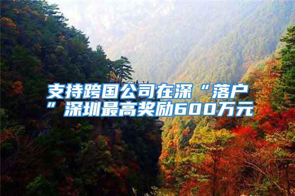 支持跨国公司在深“落户”深圳最高奖励600万元