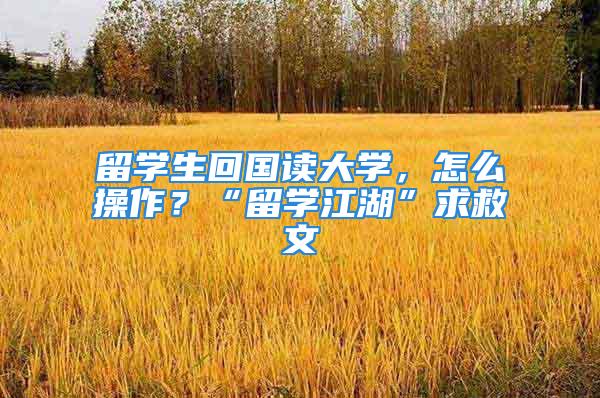 留学生回国读大学，怎么操作？“留学江湖”求救文