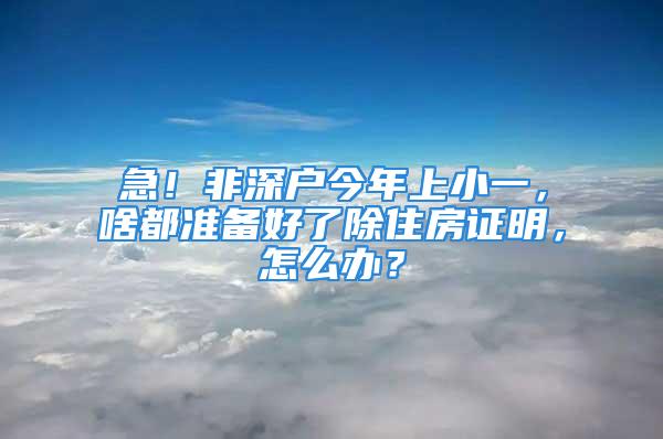 急！非深户今年上小一，啥都准备好了除住房证明，怎么办？