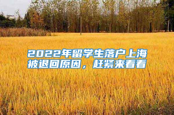 2022年留学生落户上海被退回原因，赶紧来看看