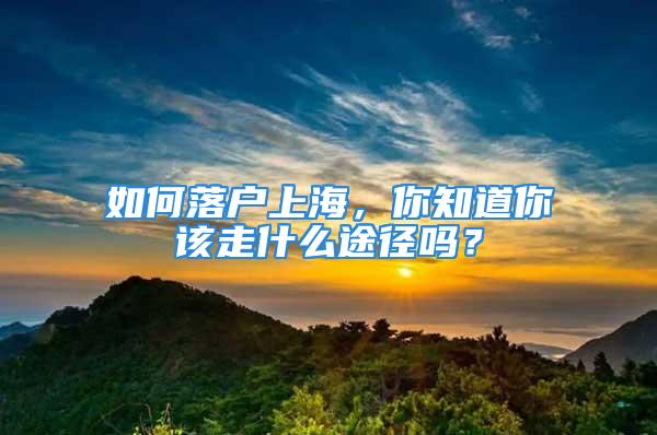 如何落户上海，你知道你该走什么途径吗？