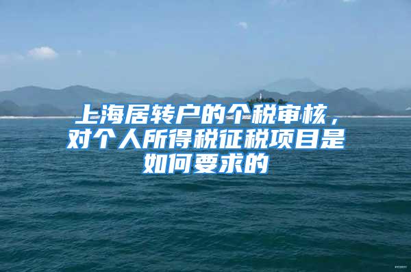 上海居转户的个税审核，对个人所得税征税项目是如何要求的