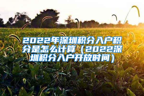 2022年深圳积分入户积分是怎么计算（2022深圳积分入户开放时间）