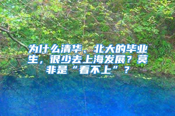 为什么清华、北大的毕业生，很少去上海发展？莫非是“看不上”？