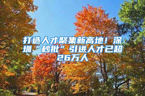 打造人才聚集新高地！深圳“秒批”引进人才已超26万人