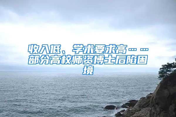 收入低、学术要求高……部分高校师资博士后陷困境