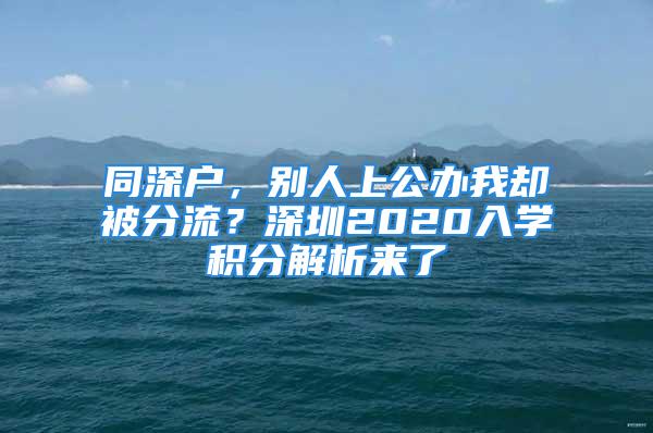 同深户，别人上公办我却被分流？深圳2020入学积分解析来了