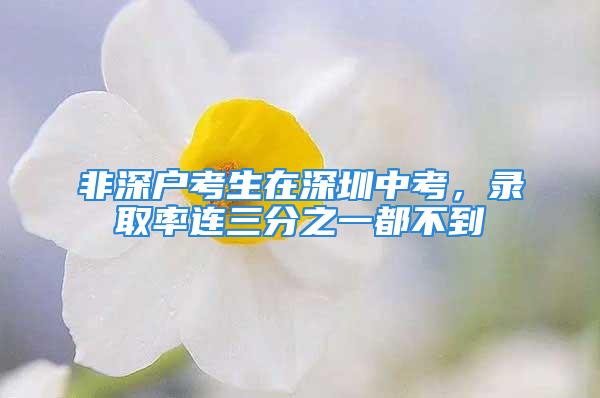 非深户考生在深圳中考，录取率连三分之一都不到