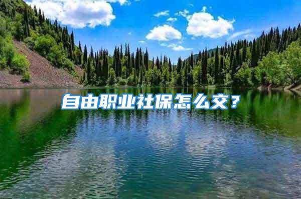 自由职业社保怎么交？