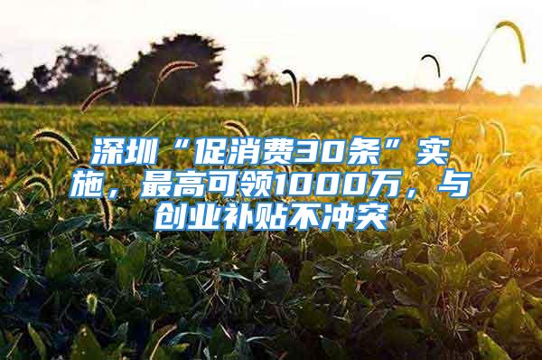 深圳“促消费30条”实施，最高可领1000万，与创业补贴不冲突